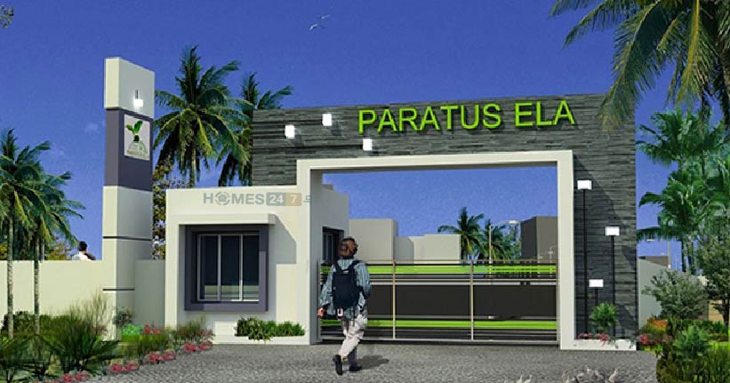 Paratus Ela-cover-06